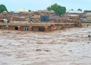 Flood: We Lost 200 Lives, 1000  Still Missing – Niger Govt
