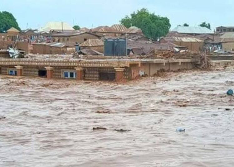 niger flood