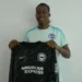 Brighton Sign Super Falcons Goalkeeper Nnadozie From Paris FC 5 Brighton Sign Super Falcons Goalkeeper Nnadozie From Paris FC