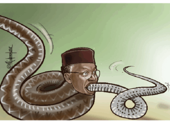 The Viper That Eats Fellow Snakes