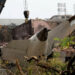 India Launches Urgent Inspection Of Boeing 787 Fleet After Deadly Air India Crash