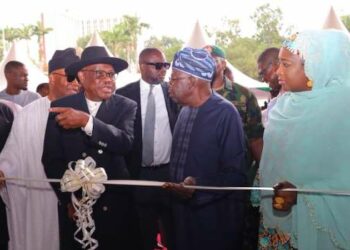 Ignore Busybodies, Bystanders, Tinubu Tells Wike