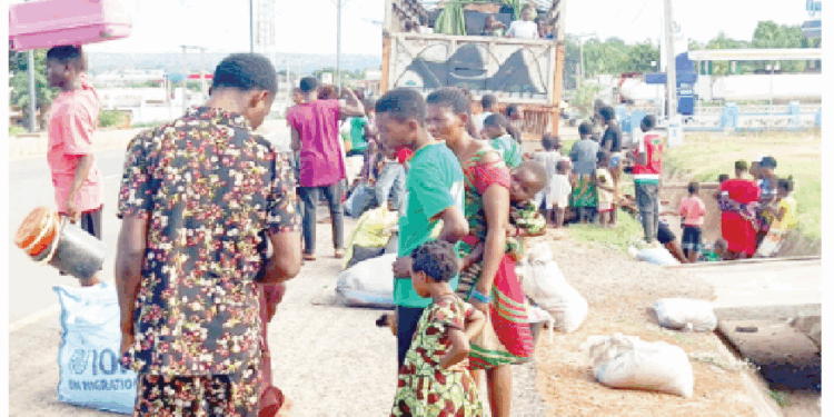 yelwata