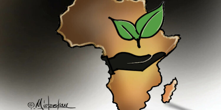 africa