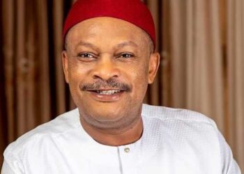 Anyanwu’s Return Not Healthy For PDP – NADG