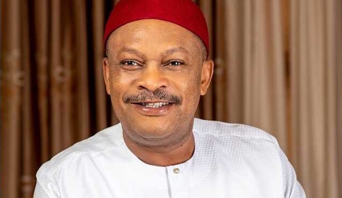 Anyanwu’s Return Not Healthy For PDP - NADG 1 Anyanwu