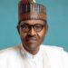 Buhari Served With Integrity, Love For Nigeria — Remi Tinubu