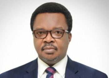 Electricity Deficit: Ex-NDPHC Boss Urges PPP, Independent Transmission Project Model