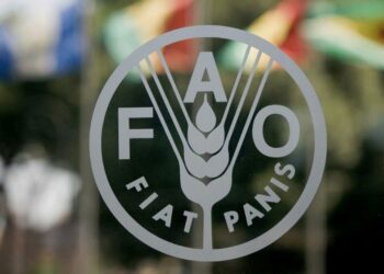 FG, FAO To Strengthen Forest Management