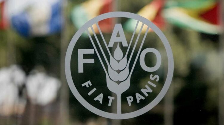 FAO