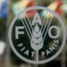 FG, FAO To Strengthen Forest Management 4 FG, FAO To Strengthen Forest Management