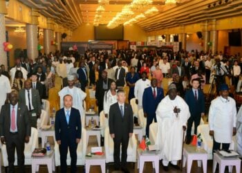 Nigeria-China Summit: 216 Chinese Investors Target Oil, Agric, ICT, Other Sectors