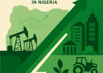 From Extraction To Enablement: Reimagining Governance, Growth And Taxation In Nigeria