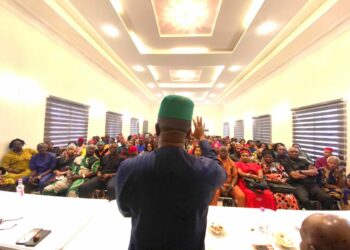 ‘My Party, Our Party Now Is ADC’, Ihedioha Tells Supporters, Followers