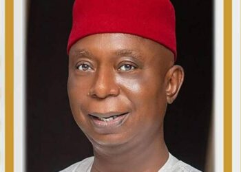Ned Nwoko Wins Best Senator Award