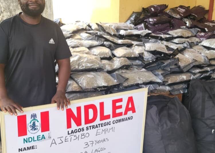 Ndlea