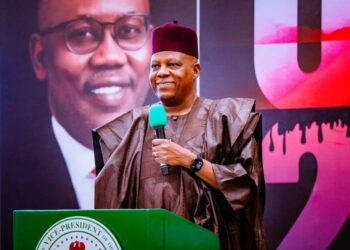 Tambuwal, Adoke Stopped Jonathan From Removing Me As Borno Gov – VP Shettima