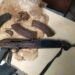 Lagos Police Arrest Suspect With Firearms, Launch Anti-cult Squads 5 Lagos Police Arrest Suspect With Firearms, Launch Anti-cult Squads