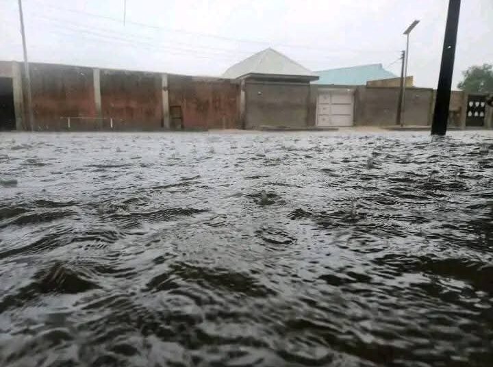 Flood
