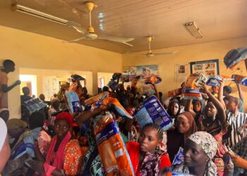 160 Pregnant Women Benefit From Rotary’s Maternal, Child Health Outreach In FCT