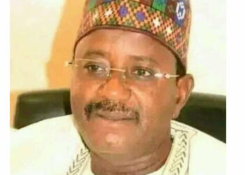 Constitution Review: North-West States Reject Diasporan Voting, Back State Creation