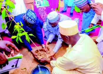 Jigawa Launches 2025 Tree Planting Campaign
