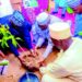 Jigawa Launches 2025 Tree Planting Campaign 5 Jigawa Launches 2025 Tree Planting Campaign