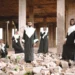 “Kabusa Oriental Choir’s New Song ‘Cannabi’ Is An Underappreciated Bop” 5 “Kabusa Oriental Choir’s New Song ‘Cannabi’ Is An Underappreciated Bop”