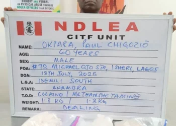 7 Years After, NDLEA Nabs Wanted Drug Kingpin 