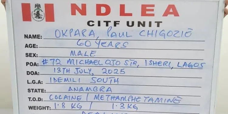 ndlea