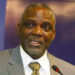 Engineers Strategic Nation Builders, Deserve Policy Seat – Nnaji