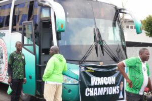 super falcons
