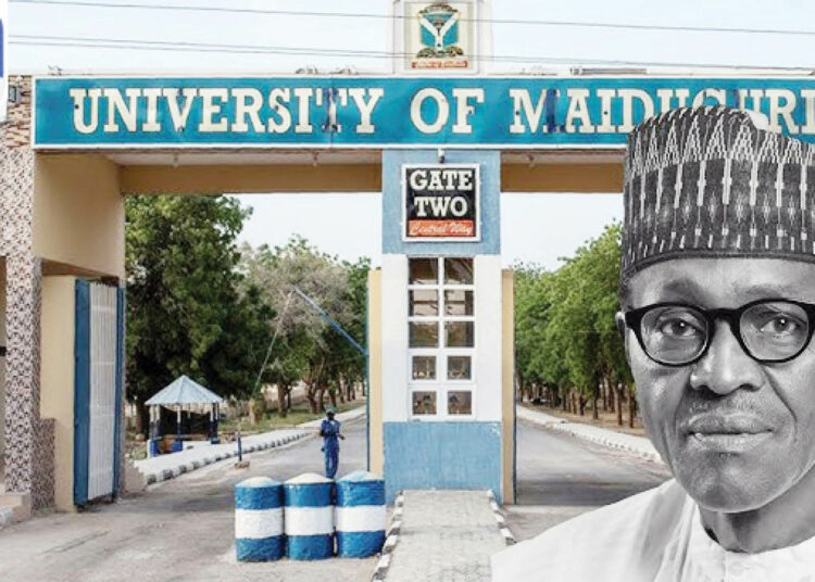 University Of Maiduguri