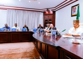 We’re Fighting Poverty, Not Building Nukes, VP Shettima Tells CTBTO