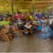 Women Cocoa Farmers Seek Gov’t Backing, Inclusion In African Cocoa Agenda 2063