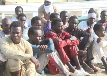 210 Terrorists Surrender To MNJTF Troops In Lake Chad