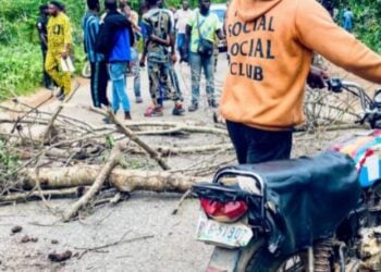 3 Students, Commercial Motorcyclist Die In Oyo Accident
