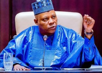 VP Shettima Calls For Unified Action Against Malnutrition