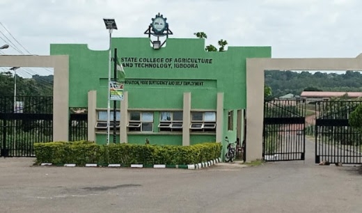 Oyo College Begins Strike Over Alleged Fractional, Delayed Salary 1 WhatsApp Image 2025 07 11 at 16.13.09 3e50b826