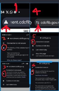 CDCFIB
