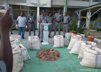 Customs Seizes 420Kg Of pangolin Scales In Kano