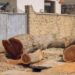 Court Jails 2 For Illegal Tree Felling In Kano 5 Court Jails 2 For Illegal Tree Felling In Kano