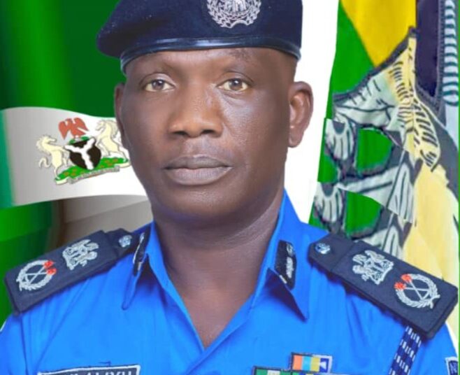 Bauchi State Commissioner of Police, CP Sani-Omolori Aliyu.