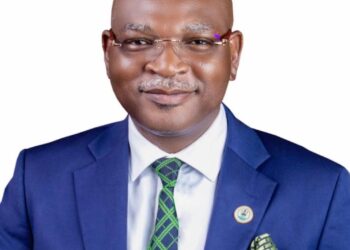 ‘Ogun-Oshun River Basin 313 Greenhouse Projects To Boost Dry Season Food Production’