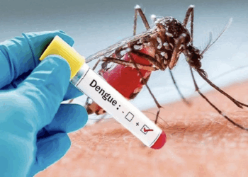 Ministry Confirms Outbreak Of Dengue Fever In Edo