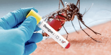 Health Screening Ministry Confirms Outbreak Of Dengue Fever In Edo