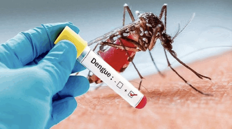 Ministry Confirms Outbreak Of Dengue Fever In Edo