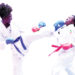 31 Countries, 1,000 Athletes, Officials To Compete At African Karate Championship In Abuja