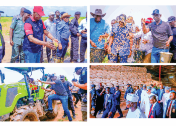 Sustaining Federal Gov’t‘s Food Security Drive In Nasarawa