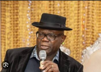 US-based Lawyer Makes History As First Nigerian In Space